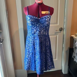 Bustier-Style Lace Betsey Johnson Dress